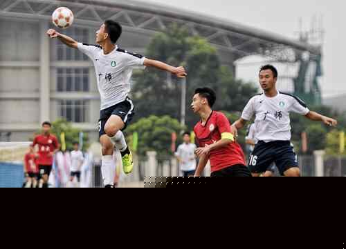 意甲前瞻比分预测：维罗纳VS亚特兰大，里尔，门兴全部拿下！